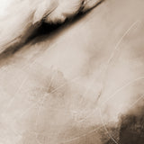 <i>Fly</i> - Giclée Print