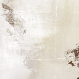 <i>Topo 2</i> - Giclée Print